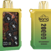 Bang Wheel 20000 PUFFS 齒輪外觀 一次性抛棄式電子煙 歐美爆款