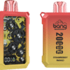 Bang Wheel 20000 PUFFS 齒輪外觀 一次性抛棄式電子煙 歐美爆款